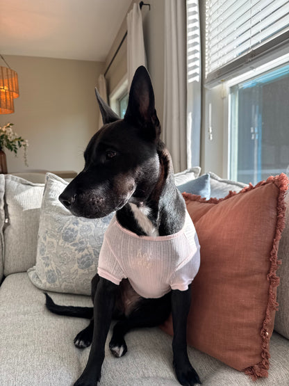 Pointelle Dog Tee in blush pink pointelle knit, another view