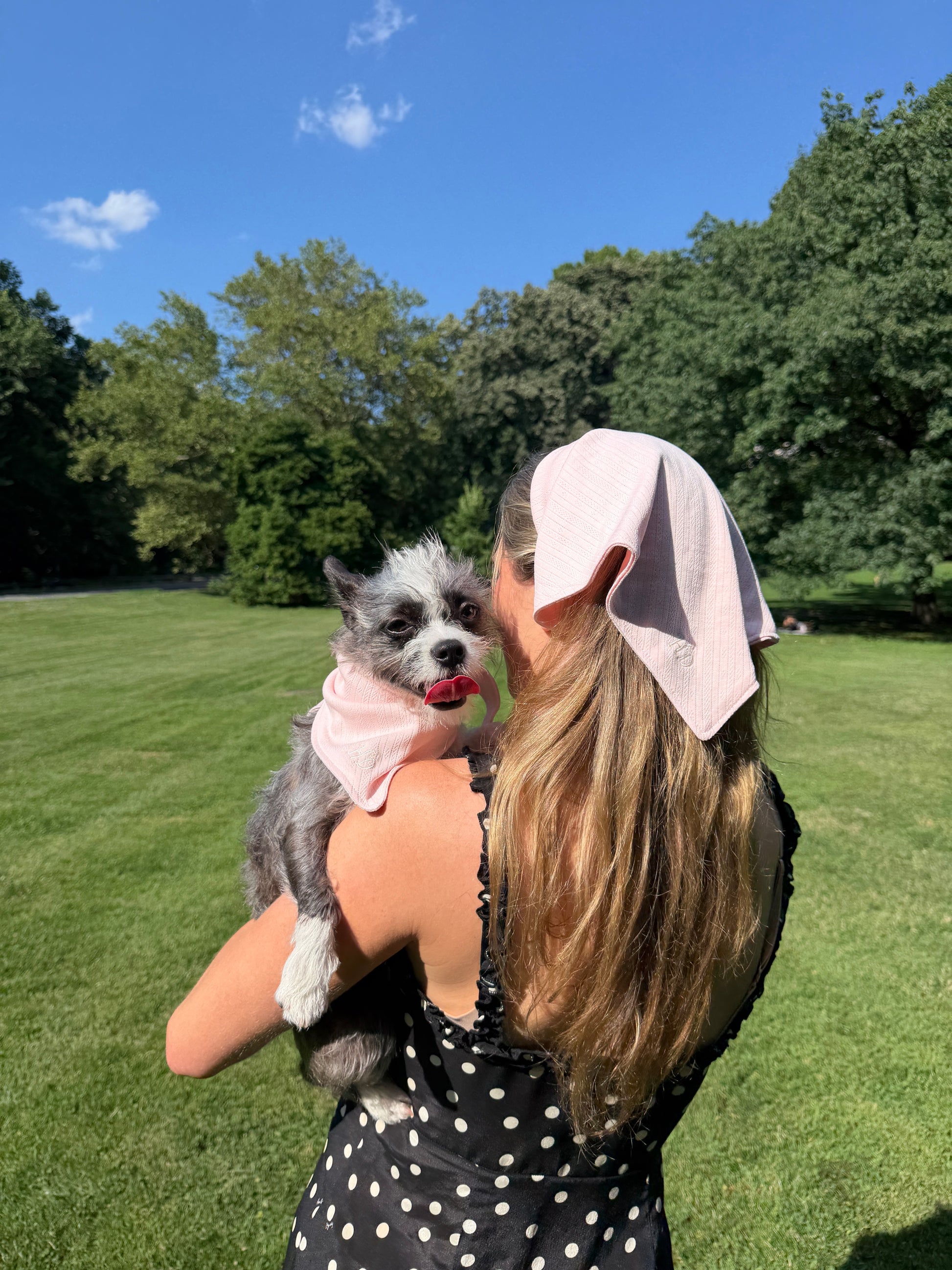 Pointelle Dog Bandana in blush pink pointelle knit, additional view