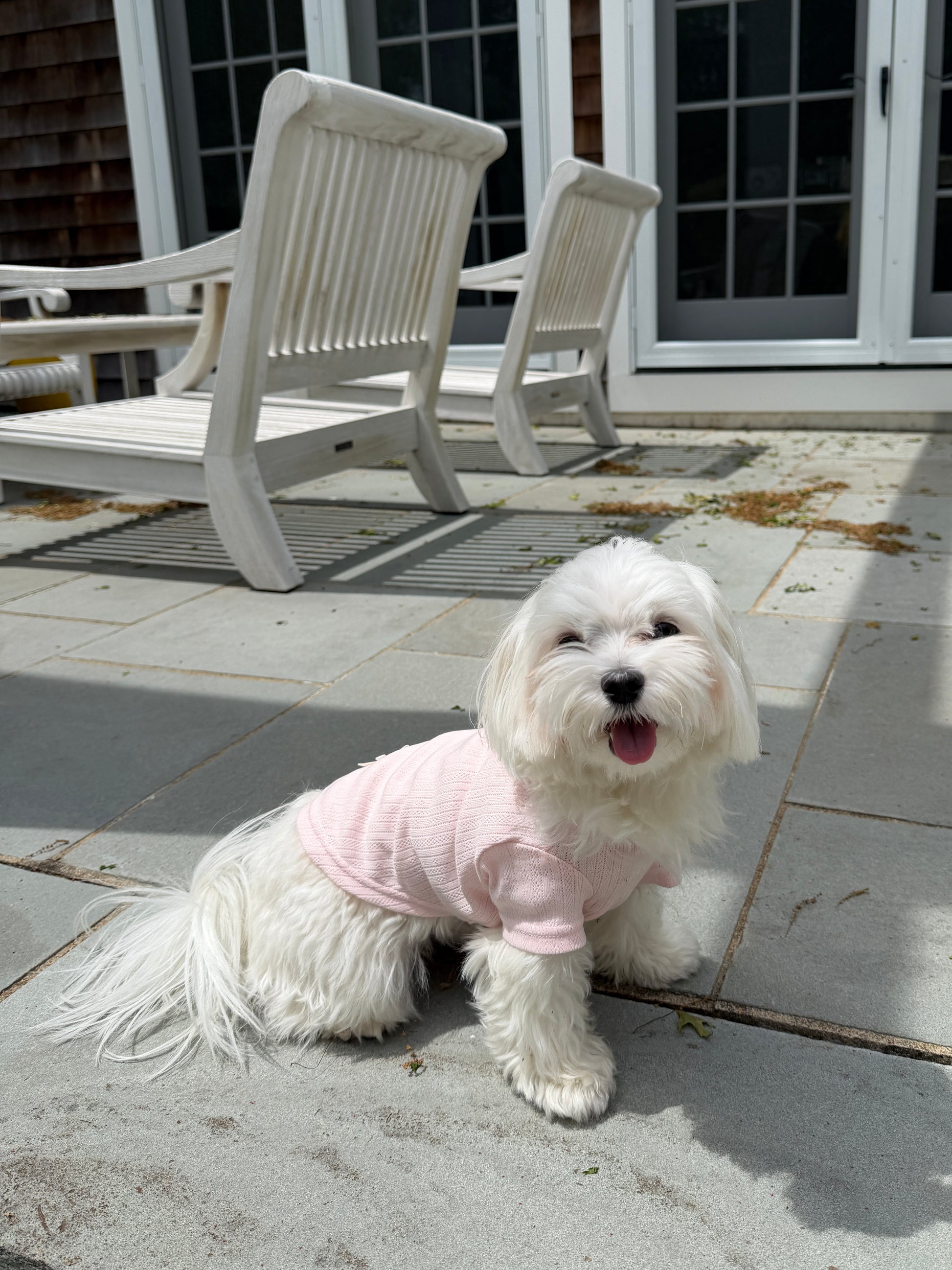 Pointelle Dog Tee in blush pink pointelle knit, additional view