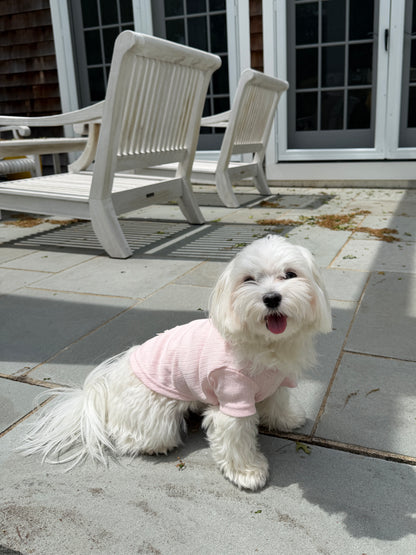 Pointelle Dog Tee in blush pink pointelle knit, additional view