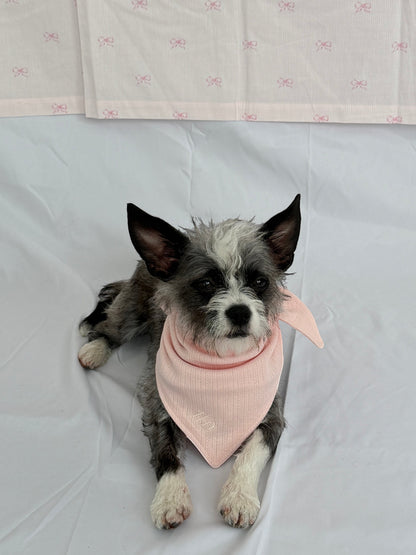 A small dog wears a blush pink pointelle knit bandana with an embroidered HD monogram. The bandana is made of cotton-spandex and has a tie closure.