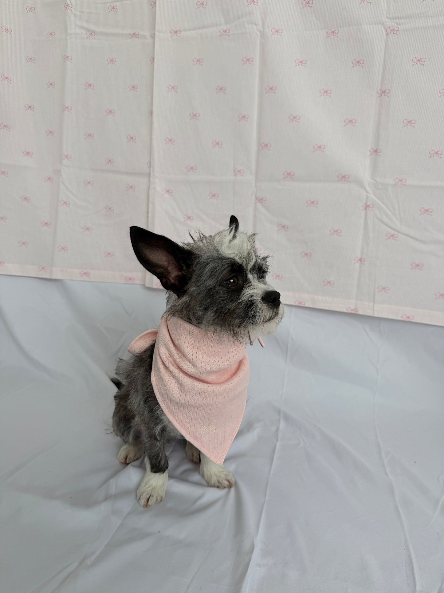 hot dog pointelle dog bandana in blush pink cotton-spandex with embroidered monogram. Adjustable tie closure.