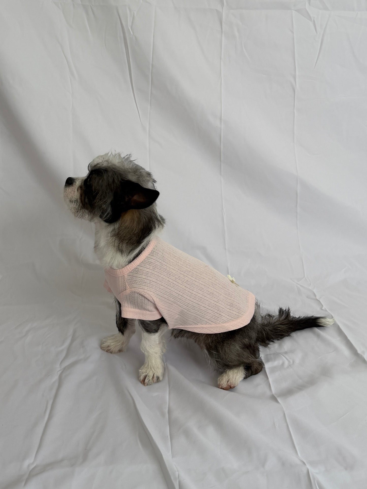 hot dog blush pink pointelle knit dog tee with cream ribbon bow detail