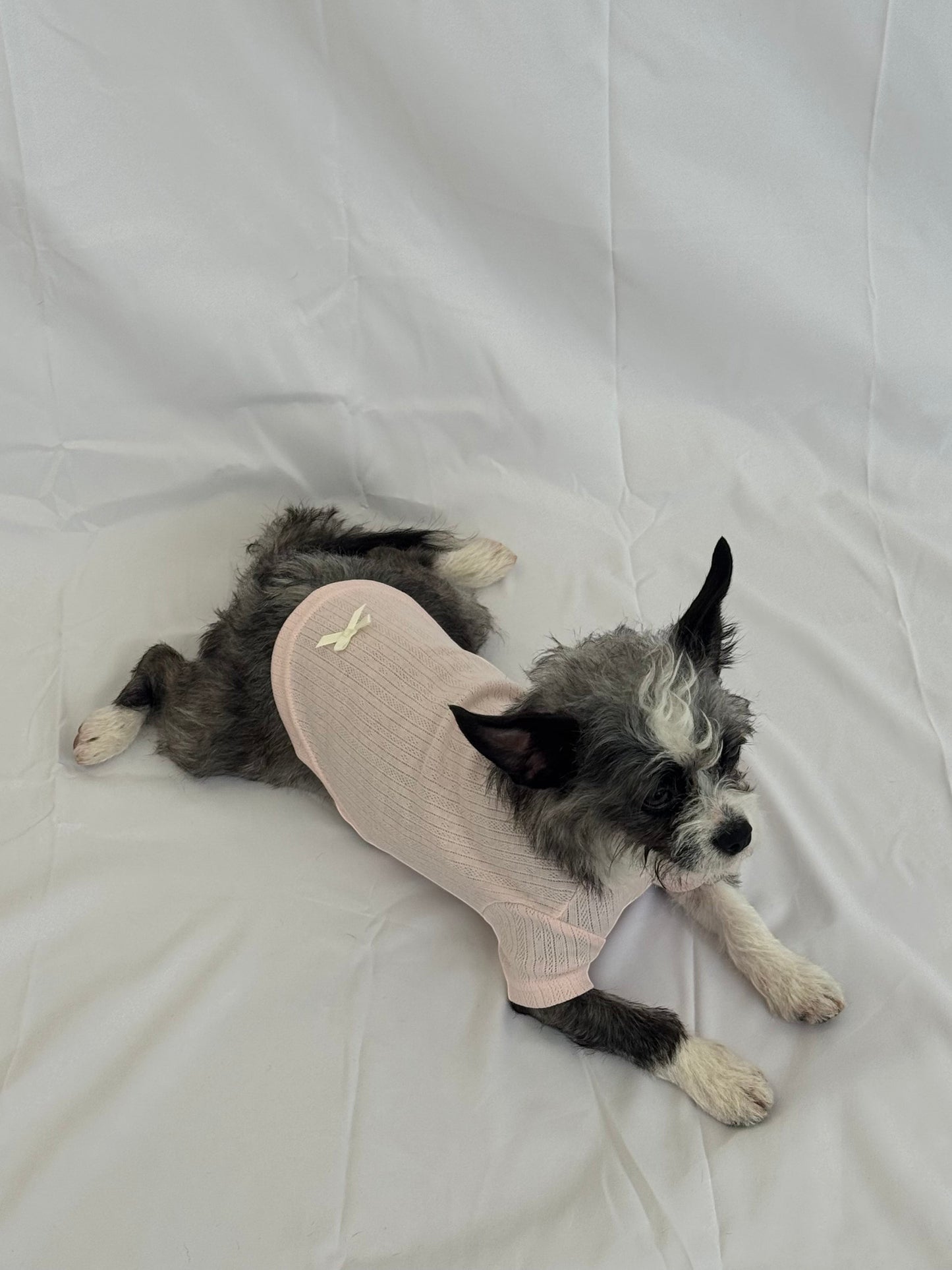 hot dog blush pink pointelle knit dog tee with cream ribbon bow on back hem. Cotton blend.