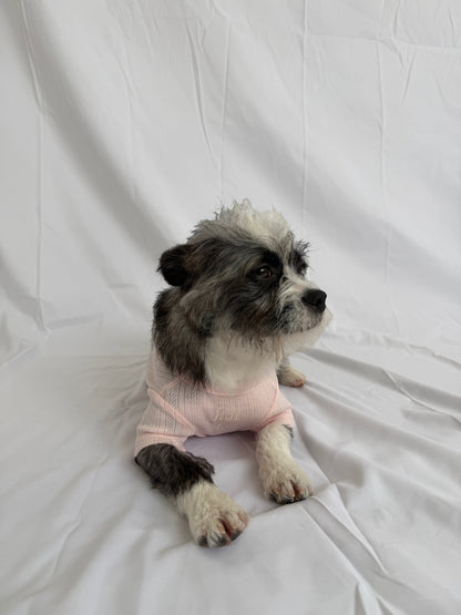 hot dog Pointelle Dog Tee in blush pink pointelle knit, 96% cotton/4% spandex. Short sleeves, crew neck, and embroidered logo.