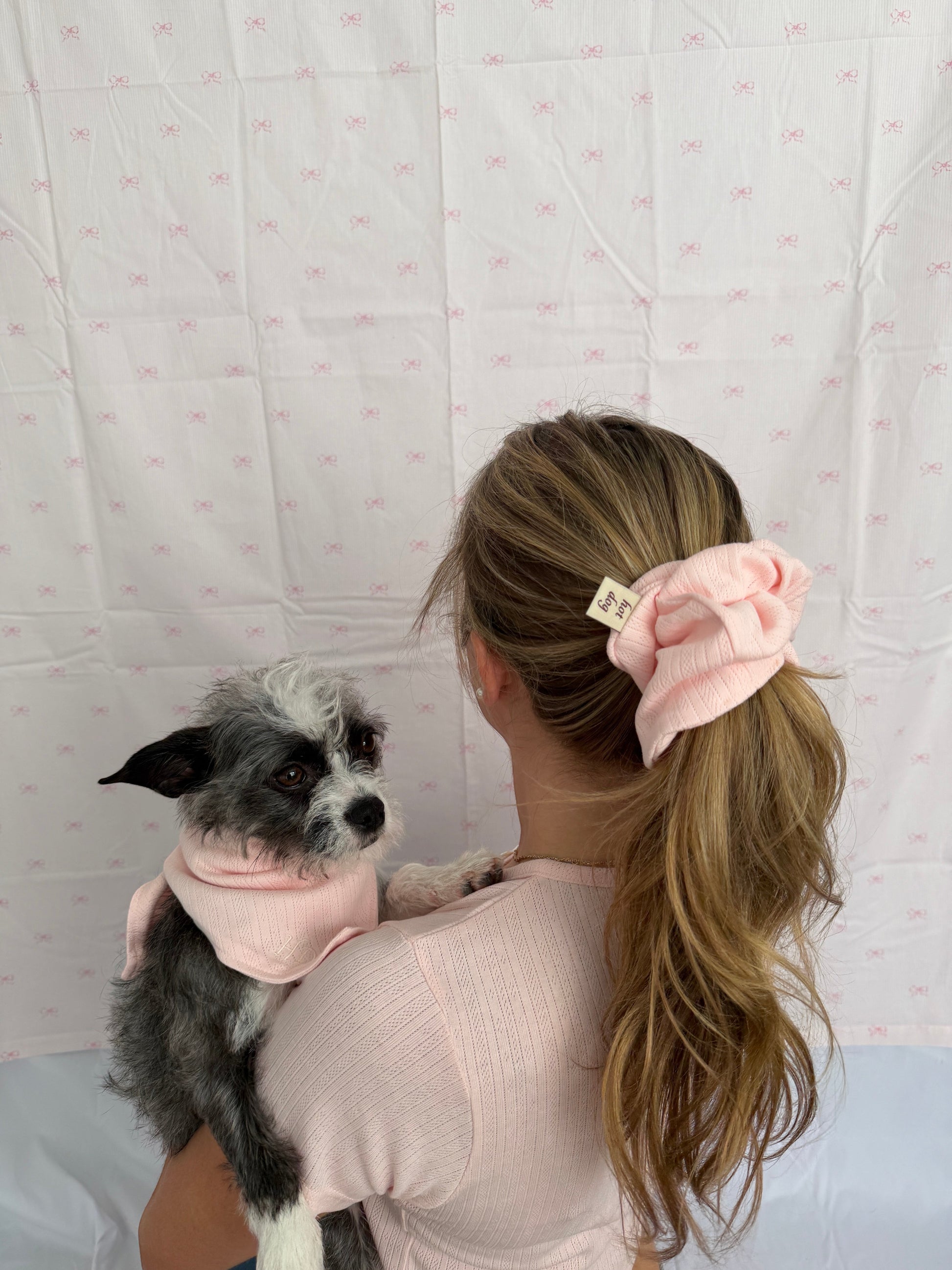 hot dog blush pink pointelle knit set including baby tee, dog tee, dog bandana, and scrunchie. Model holds dog wearing bandana.